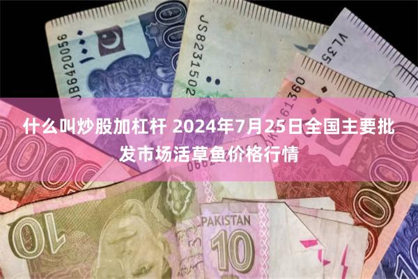 什么叫炒股加杠杆 2024年7月25日全国主要批发市场活草鱼价格行情