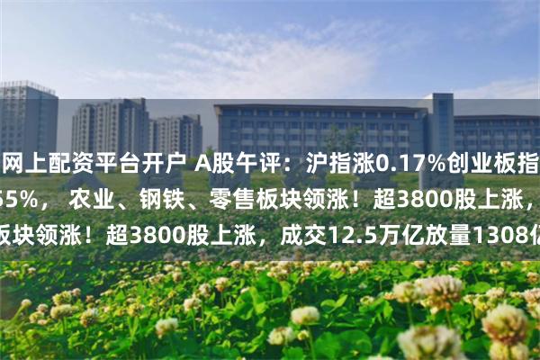 网上配资平台开户 A股午评：沪指涨0.17%创业板指跌0.47%北证50跌1.55%， 农业、钢铁、零售板块领涨！超3800股上涨，成交12.5万亿放量1308亿