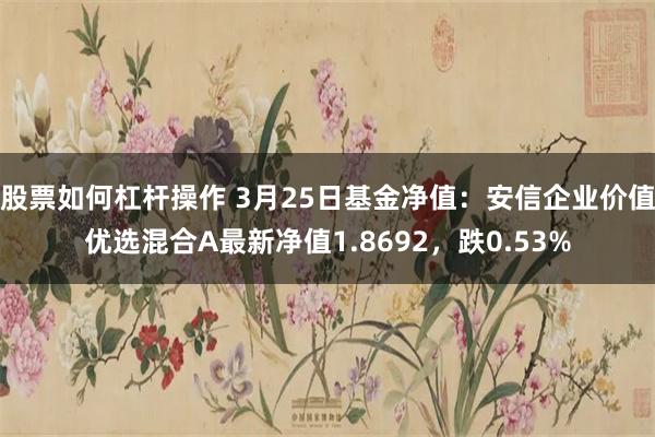 股票如何杠杆操作 3月25日基金净值：安信企业价值优选混合A最新净值1.8692，跌0.53%