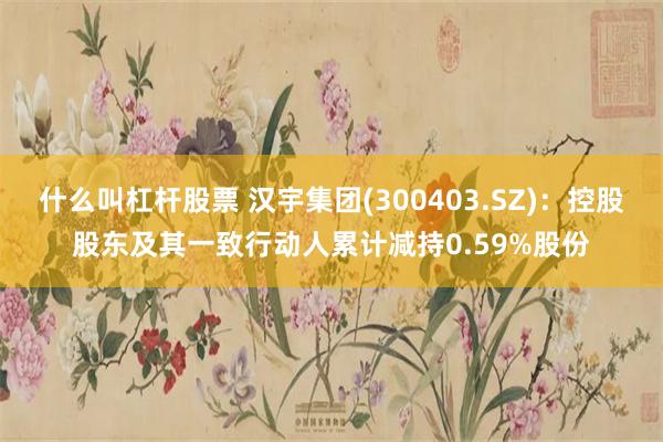 什么叫杠杆股票 汉宇集团(300403.SZ)：控股股东及其一致行动人累计减持0.59%股份