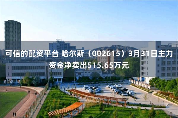 可信的配资平台 哈尔斯（002615）3月31日主力资金净卖出515.65万元