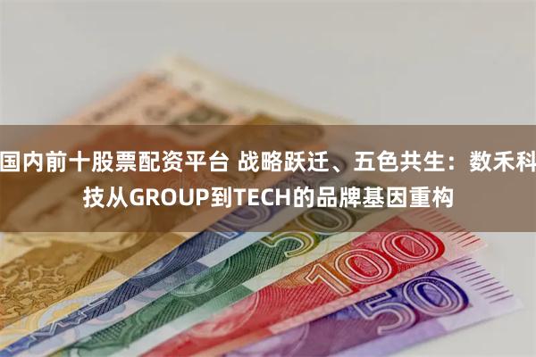 国内前十股票配资平台 战略跃迁、五色共生：数禾科技从GROUP到TECH的品牌基因重构