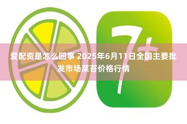 爱配资是怎么回事 2025年6月11日全国主要批发市场菜苔价格行情