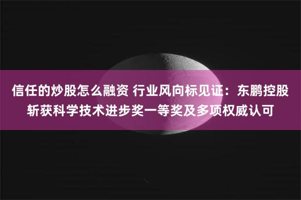 信任的炒股怎么融资 行业风向标见证：东鹏控股斩获科学技术进步奖一等奖及多项权威认可