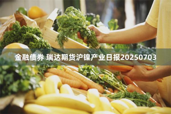 金融债券 瑞达期货沪镍产业日报20250703