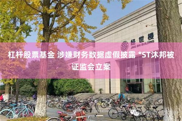 杠杆股票基金 涉嫌财务数据虚假披露 *ST沐邦被证监会立案