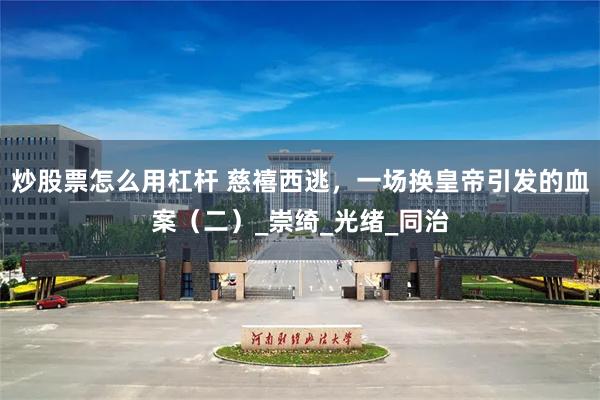 炒股票怎么用杠杆 慈禧西逃，一场换皇帝引发的血案（二）_崇绮_光绪_同治