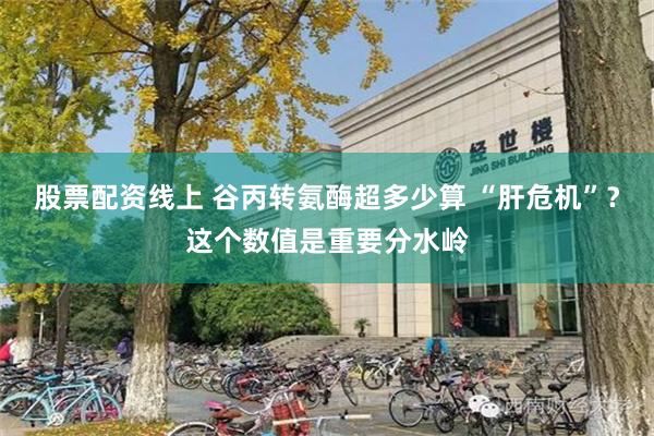 股票配资线上 谷丙转氨酶超多少算 “肝危机”？这个数值是重要分水岭
